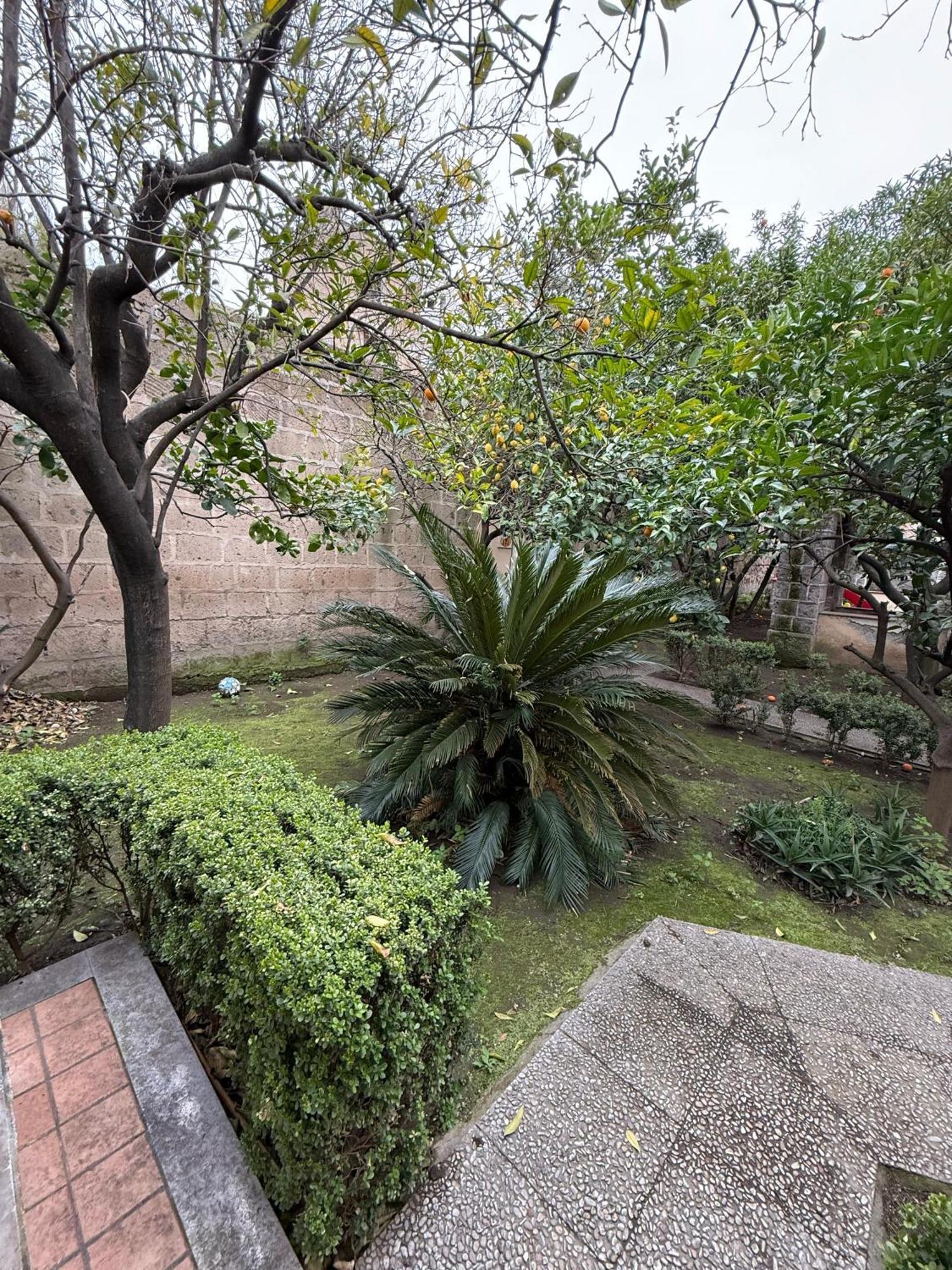 La Lanciolla Maddaloni