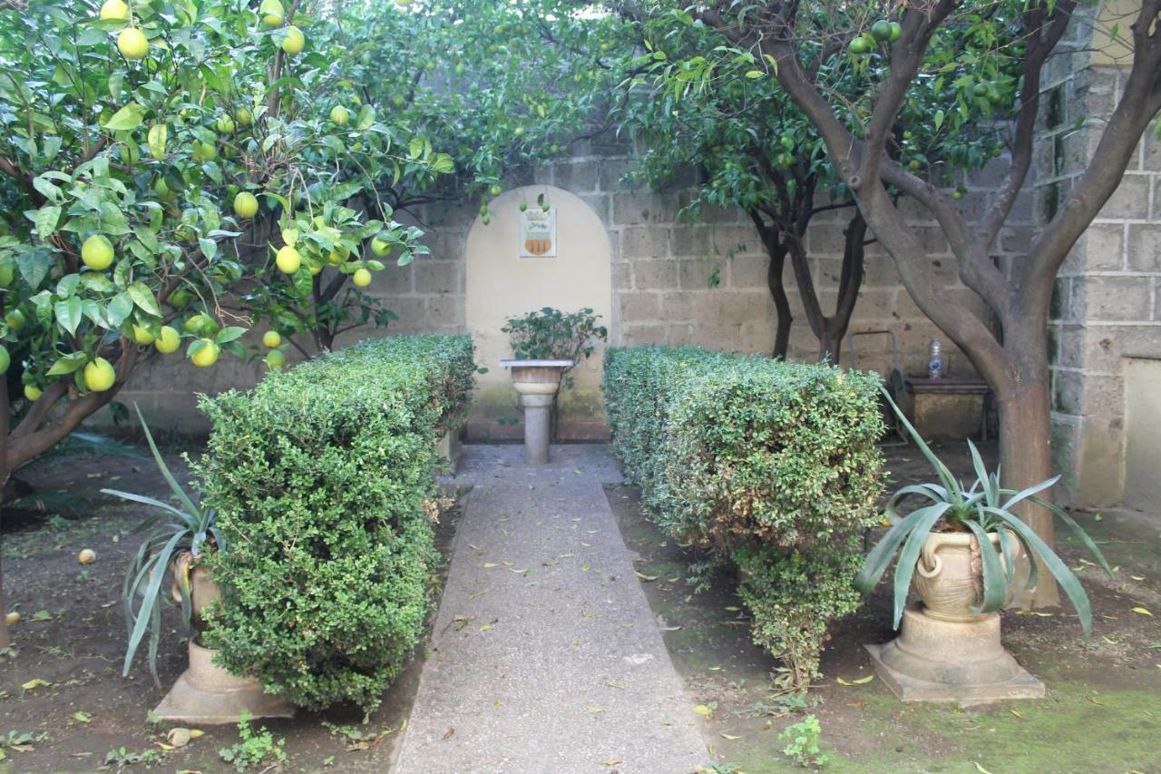 La Lanciolla Apartment Maddaloni